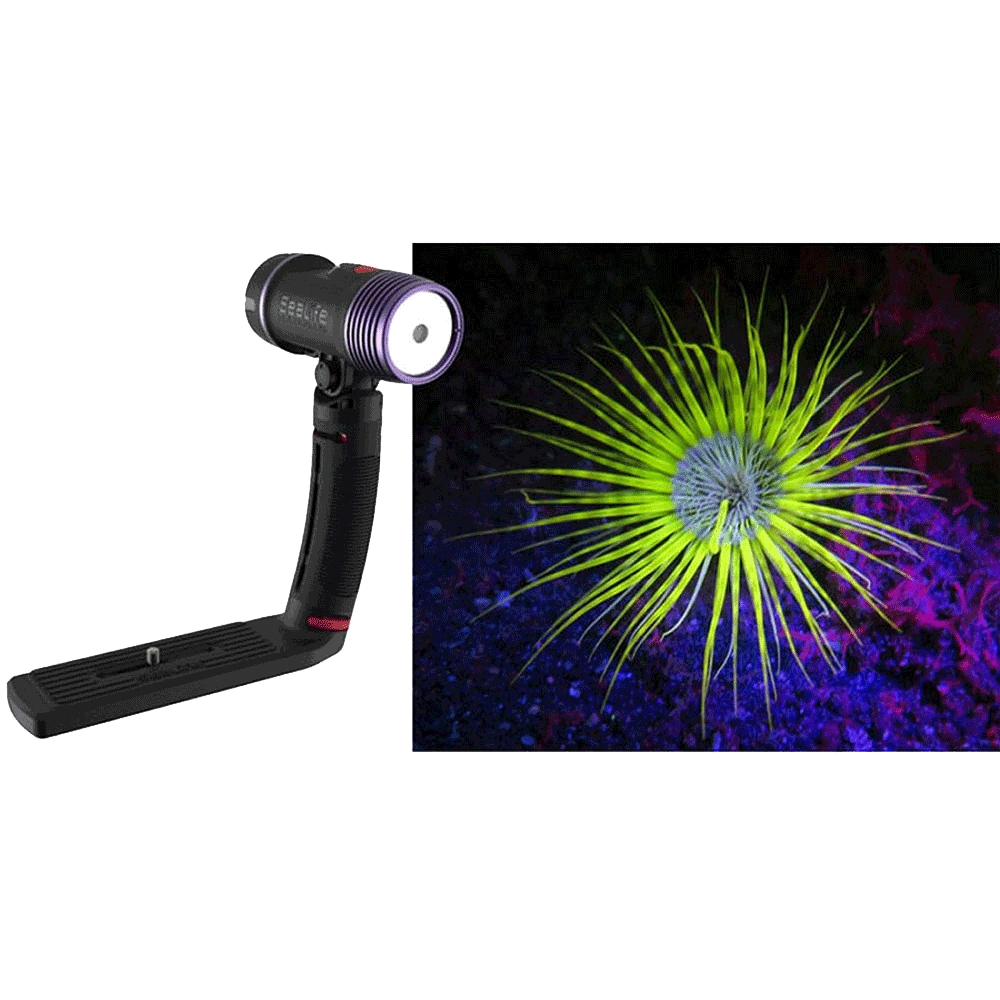 SeaLife SEA DRAGON FLUORO DUAL BEAM