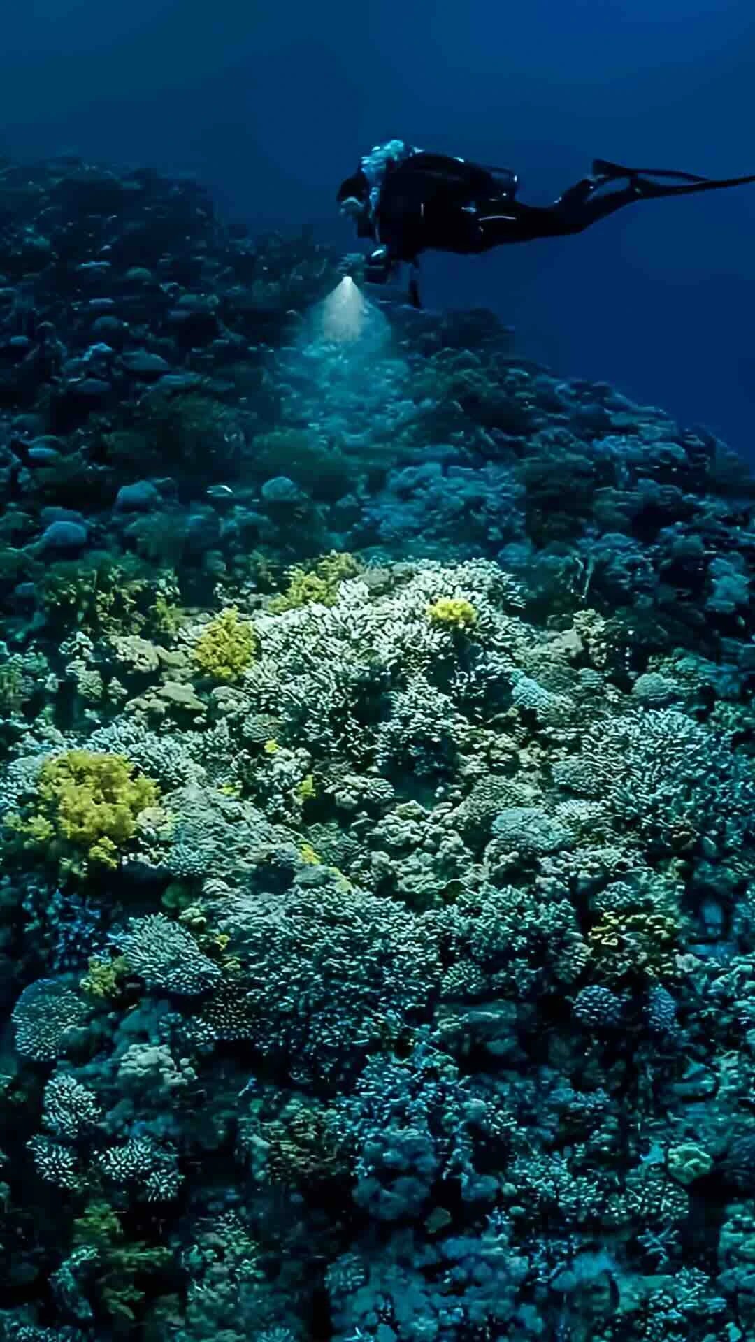 Tauchlampen / Videolampen