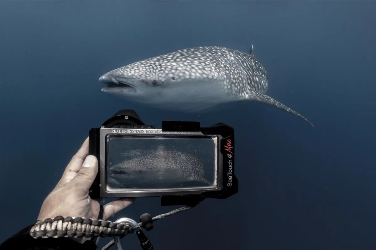 Divevolk SeaTouch 4 Max Plus