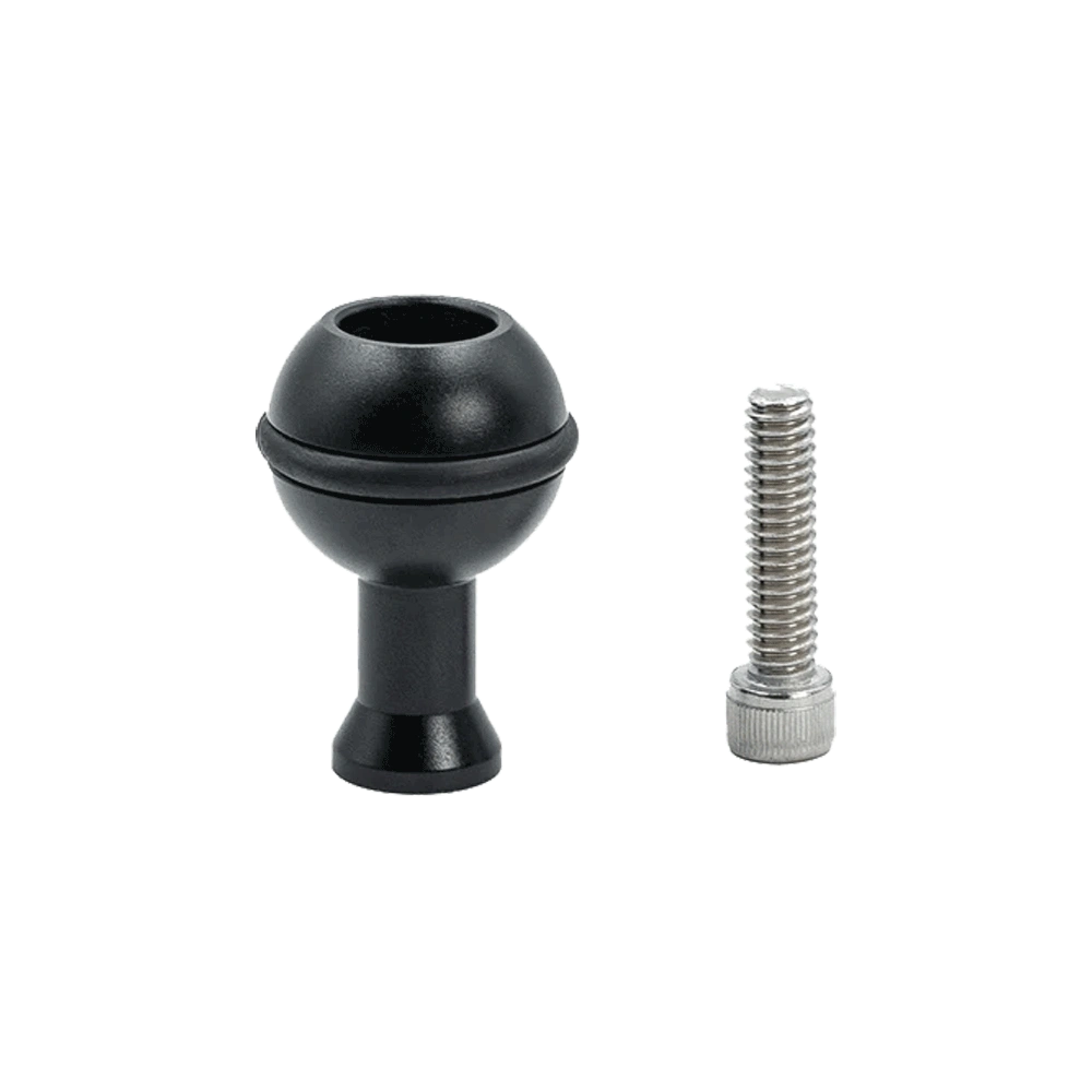 Divevolk Kugelkopf M6 ball head