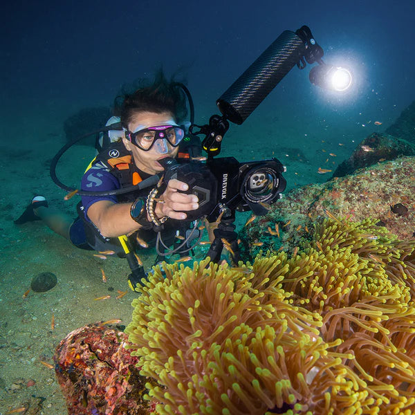 Divevolk Kugelkopf M6 ball head