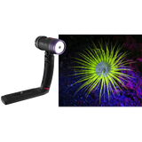 SeaLife SEA DRAGON FLUORO DUAL BEAM